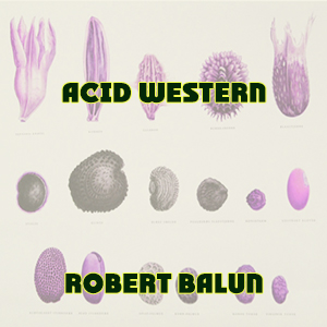Acid Western