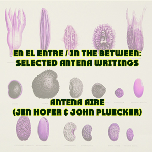 en el entre / in the between : Selected Antena Writings