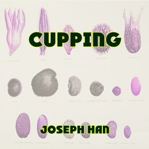 CUPPING