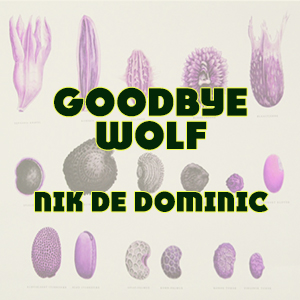 Goodbye Wolf