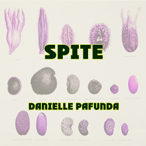 SPITE